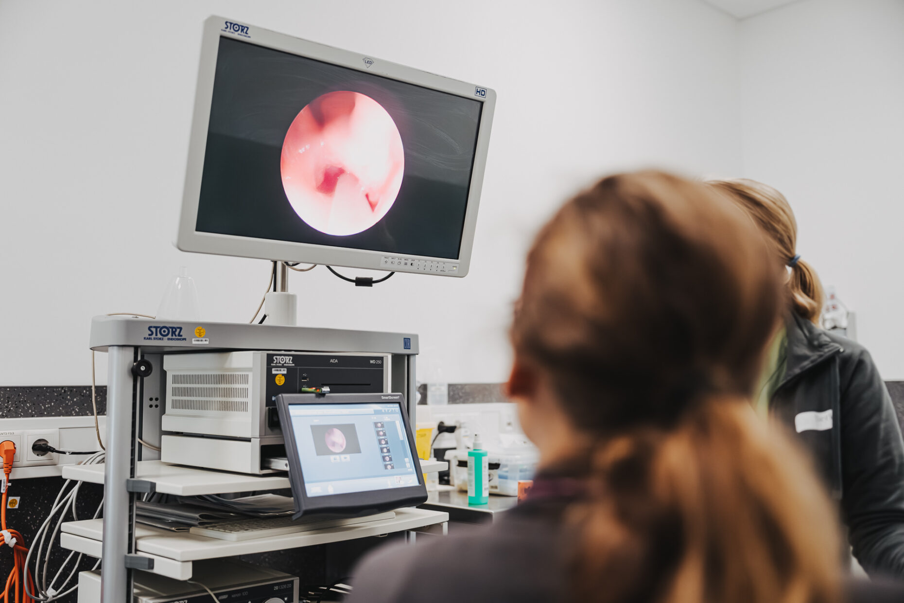 Zwei Personen blicken in der Tierklinik Posthausen auf einen Monitor mit einer Endoskopie-Aufnahme.