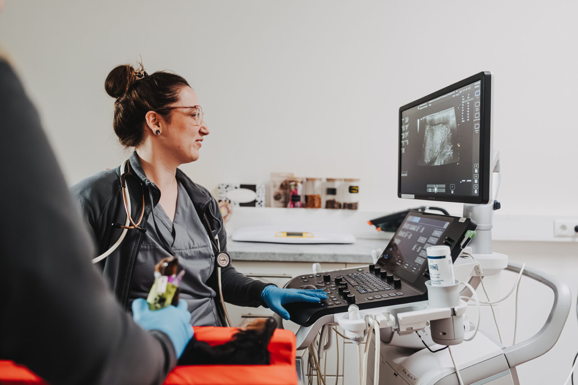 Eine Tierärztin führt eine Ultraschalluntersuchung bei einem Kleintier in der Tierklinik Posthausen durch.