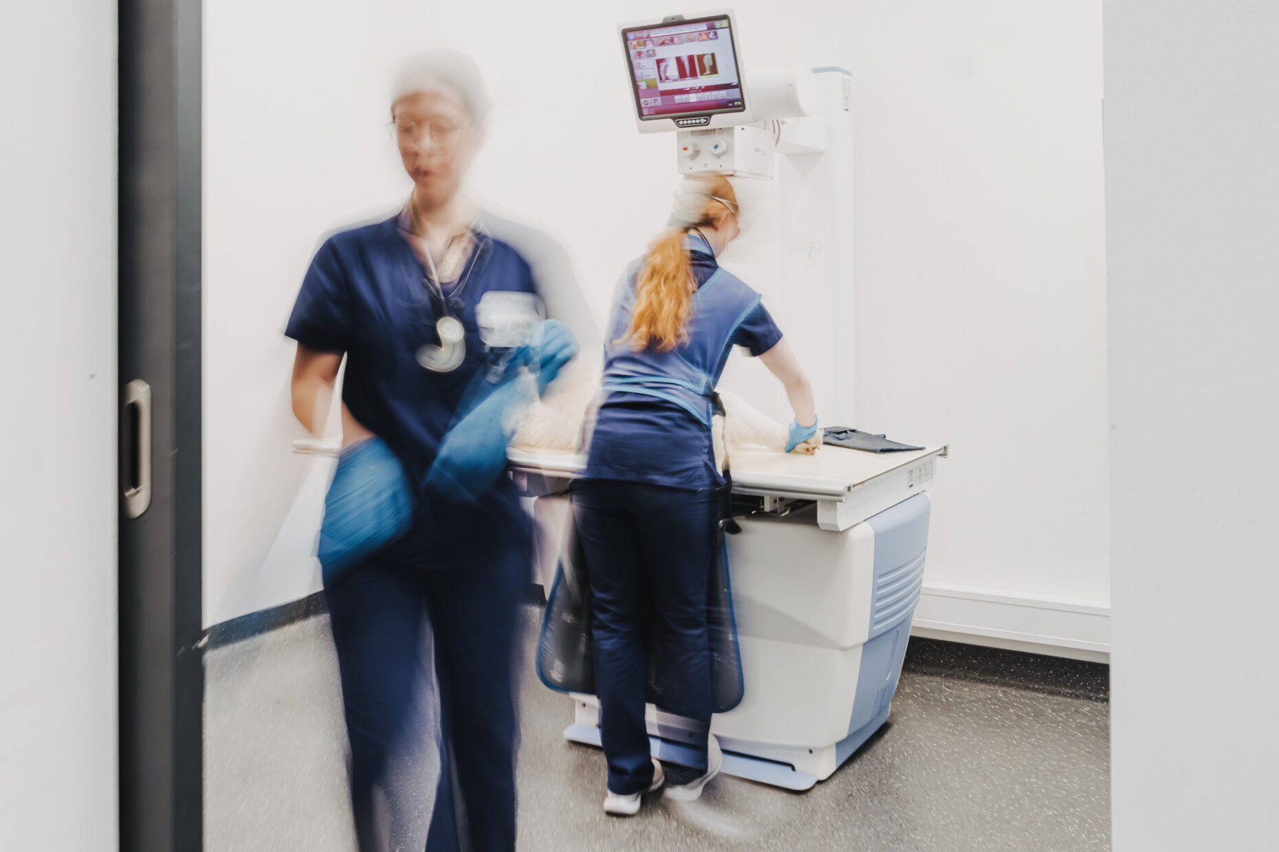 Eine Tiermedizinische Fachangestellte bedient ein Röntgengerät in der Tierklinik Posthausen, vorne geht eine Kollegin vorbei.
