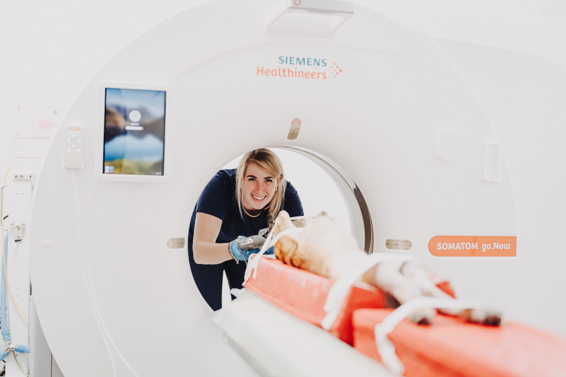 Eine Mitarbeiterin lächelt an einem CT-Gerät in der Tierklinik Posthausen, während ein Tier untersucht wird.