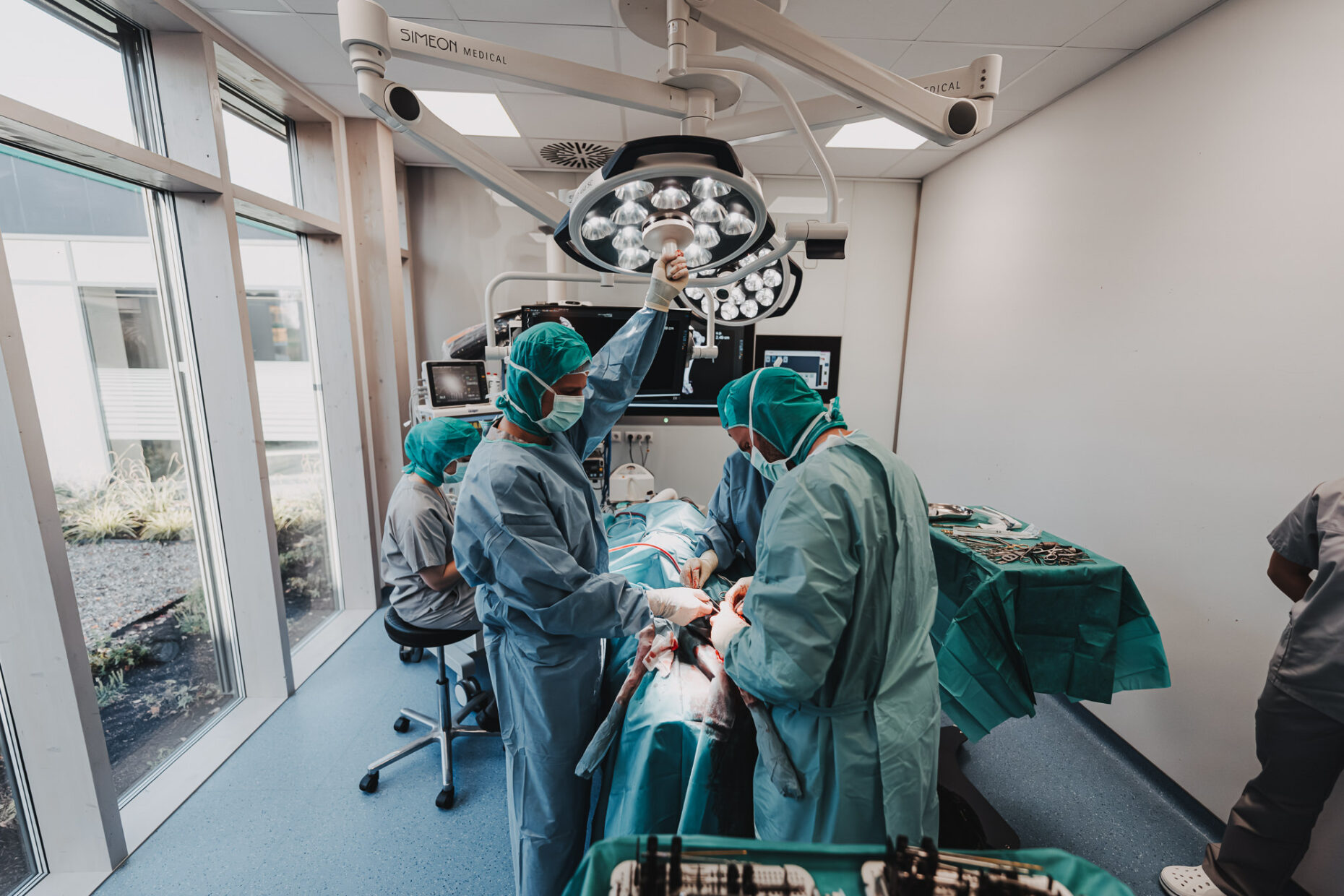 Operierende Tierärzt:innen stehen in einem OP-Saal der Tierklinik Posthausen am Tisch unter einer großen OP-Leuchte.