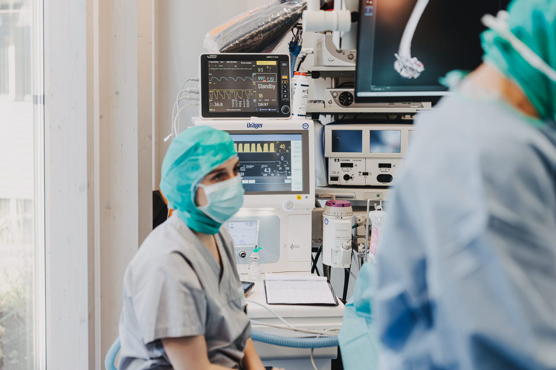 Eine Anästhesistin im OP der Tierklinik Posthausen blickt auf die Monitore zur Überwachung von Vitalfunktionen.