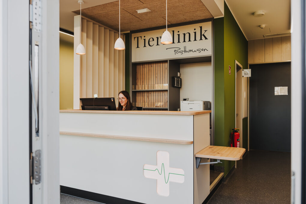 Empfangsbereich der Tierklinik Posthausen mit einem Tresen, einer Mitarbeiterin am Computer und Lampen.