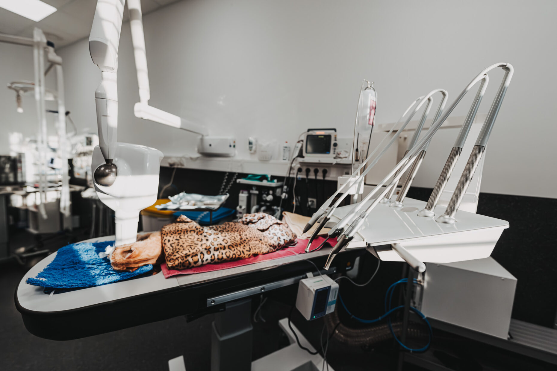 Behandlungstisch mit medizinischen Geräten und einer Decke im Leopardendruck in der Tierklinik Posthausen.