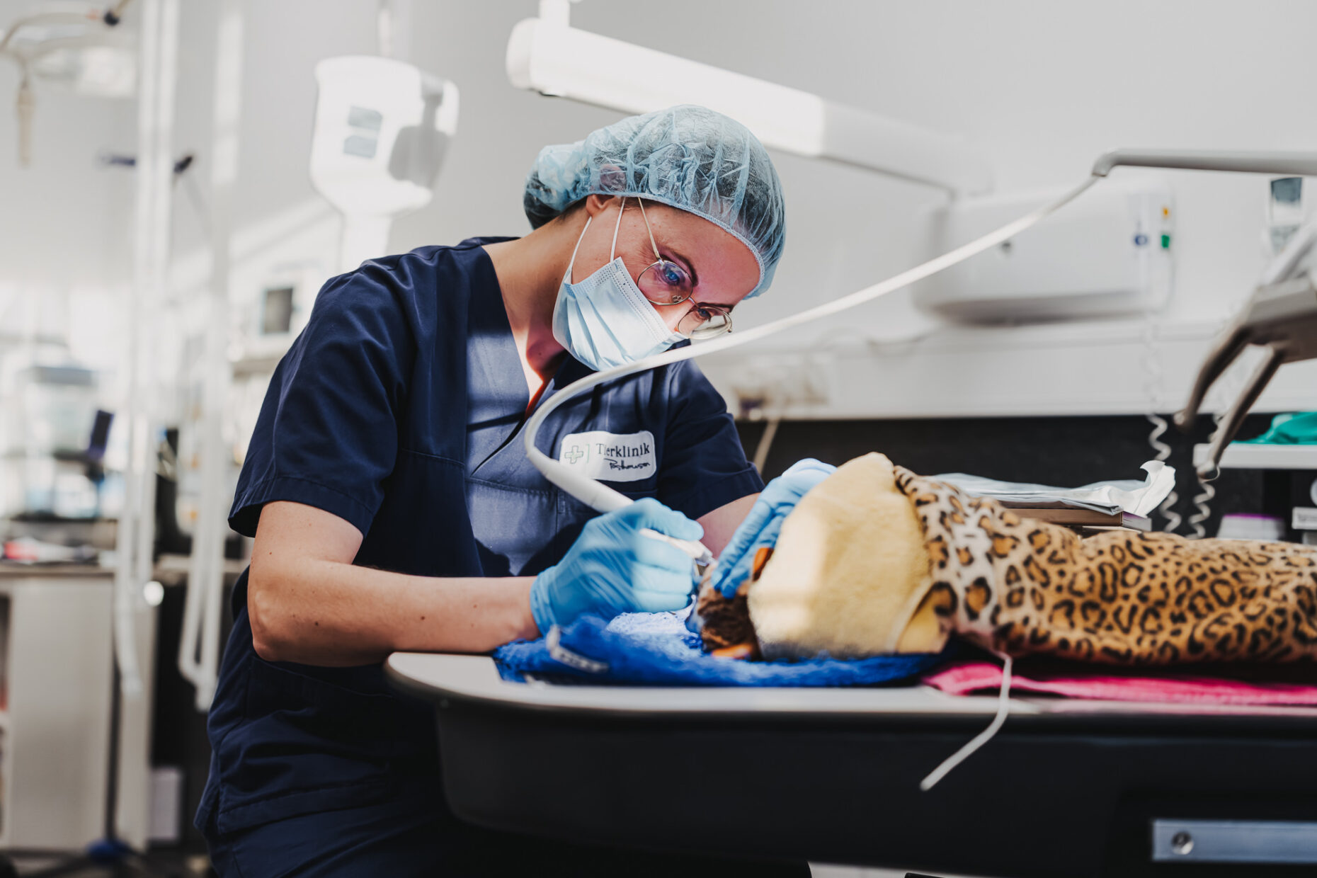 Eine Tierärztin in OP-Kleidung führt in der Tierklinik Posthausen eine Zahnbehandlung bei einem Tier durch.