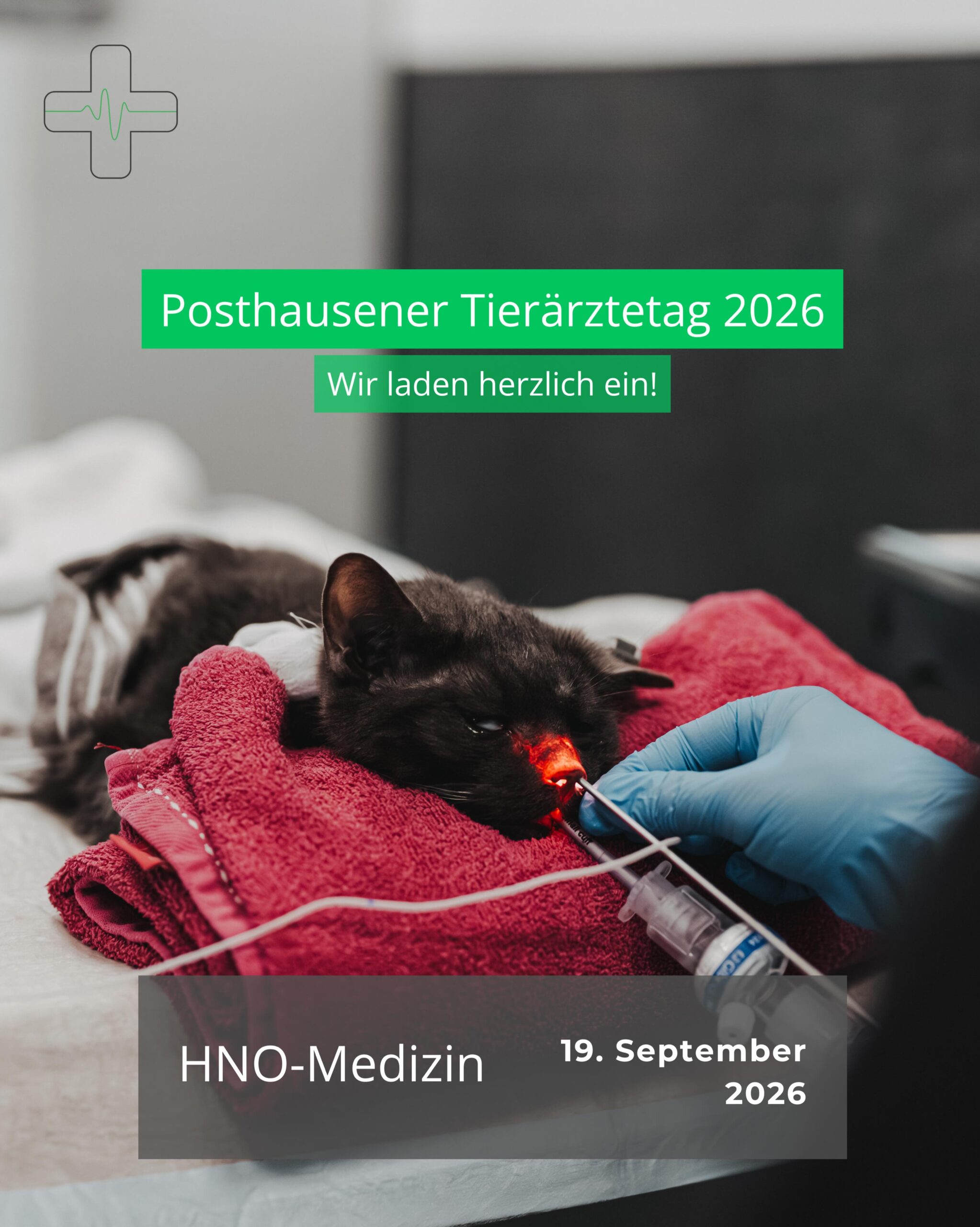 Instagram Beitrag von Tierklinik Posthausen