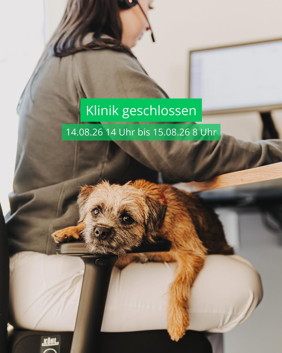 Instagram Beitrag von Tierklinik Posthausen