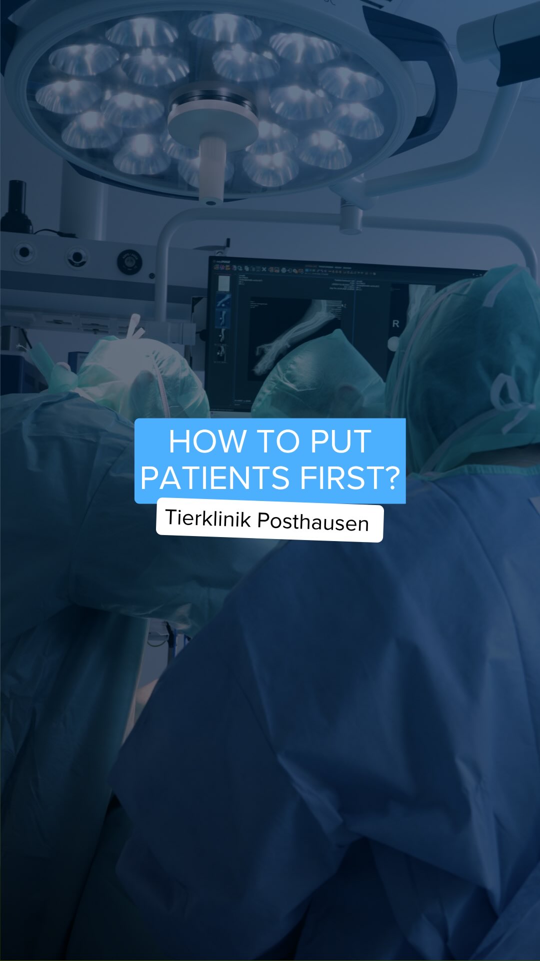 Instagram Beitrag von Tierklinik Posthausen