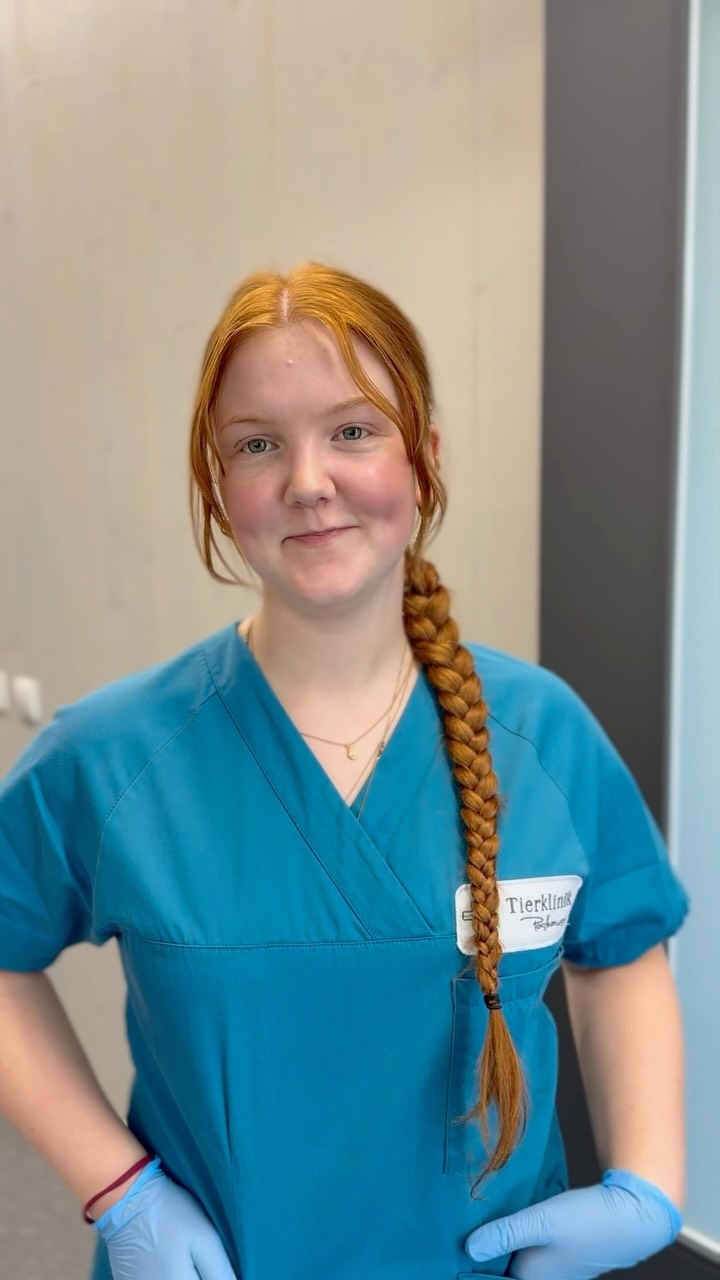 Eine Mitarbeiterin mit geflochtenem Haar und blauer Dienstkleidung steht in der Tierklinik Posthausen.