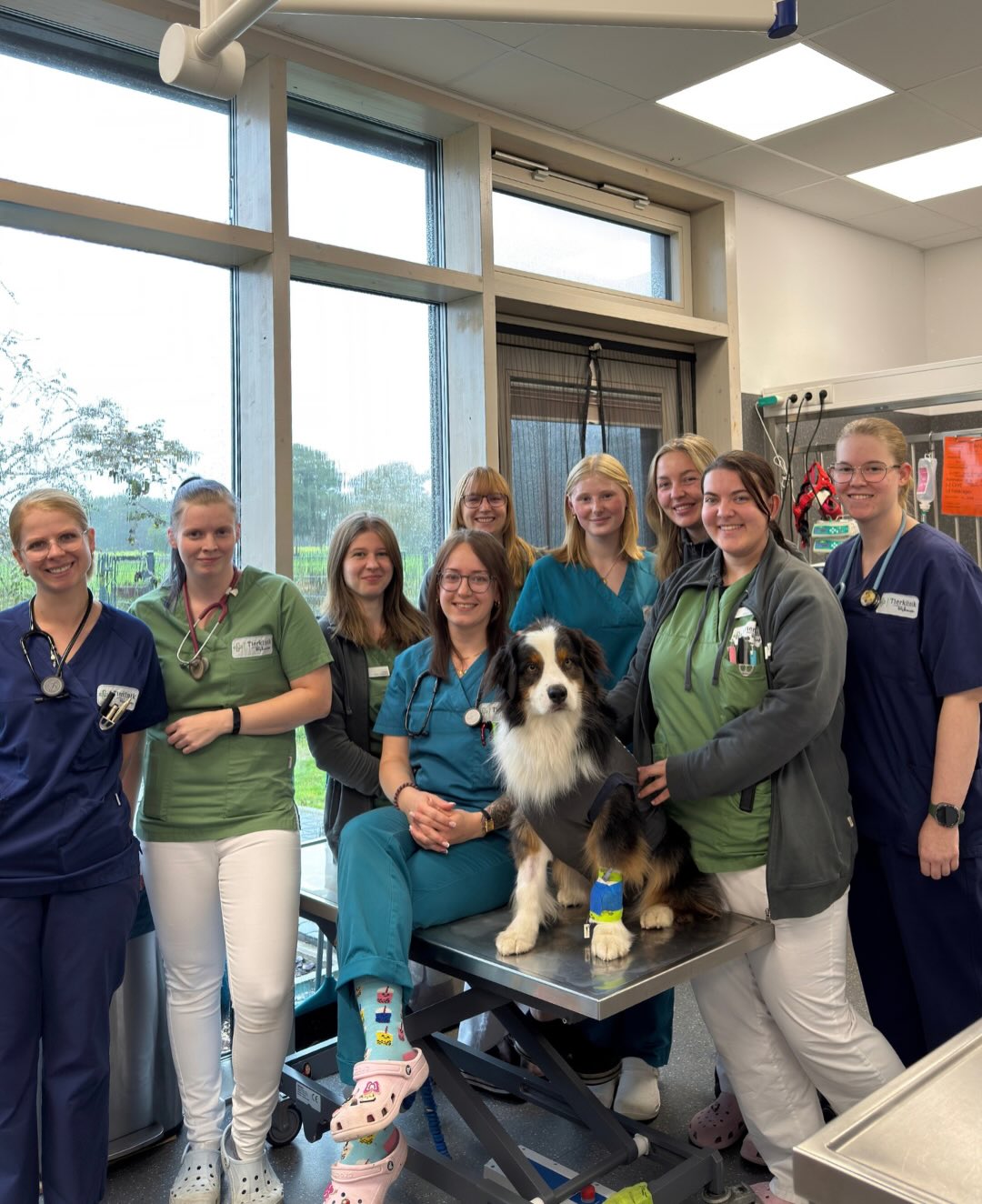 Team der Tierklinik Posthausen posiert mit einem Hund auf einem Untersuchungstisch in einem Behandlungsraum.