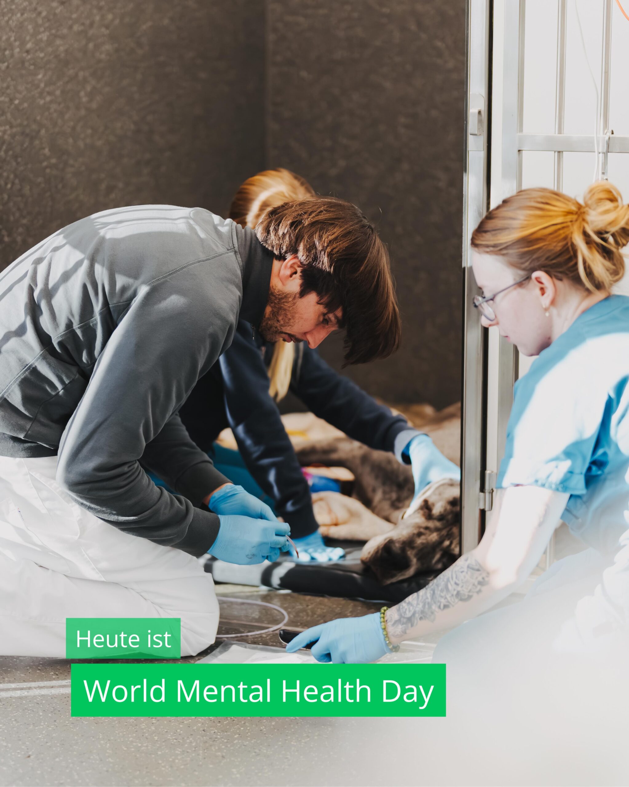 Drei Tierpfleger:innen behandeln einen liegenden Hund in der Tierklinik Posthausen. Text: Heute ist World Mental Health Day.