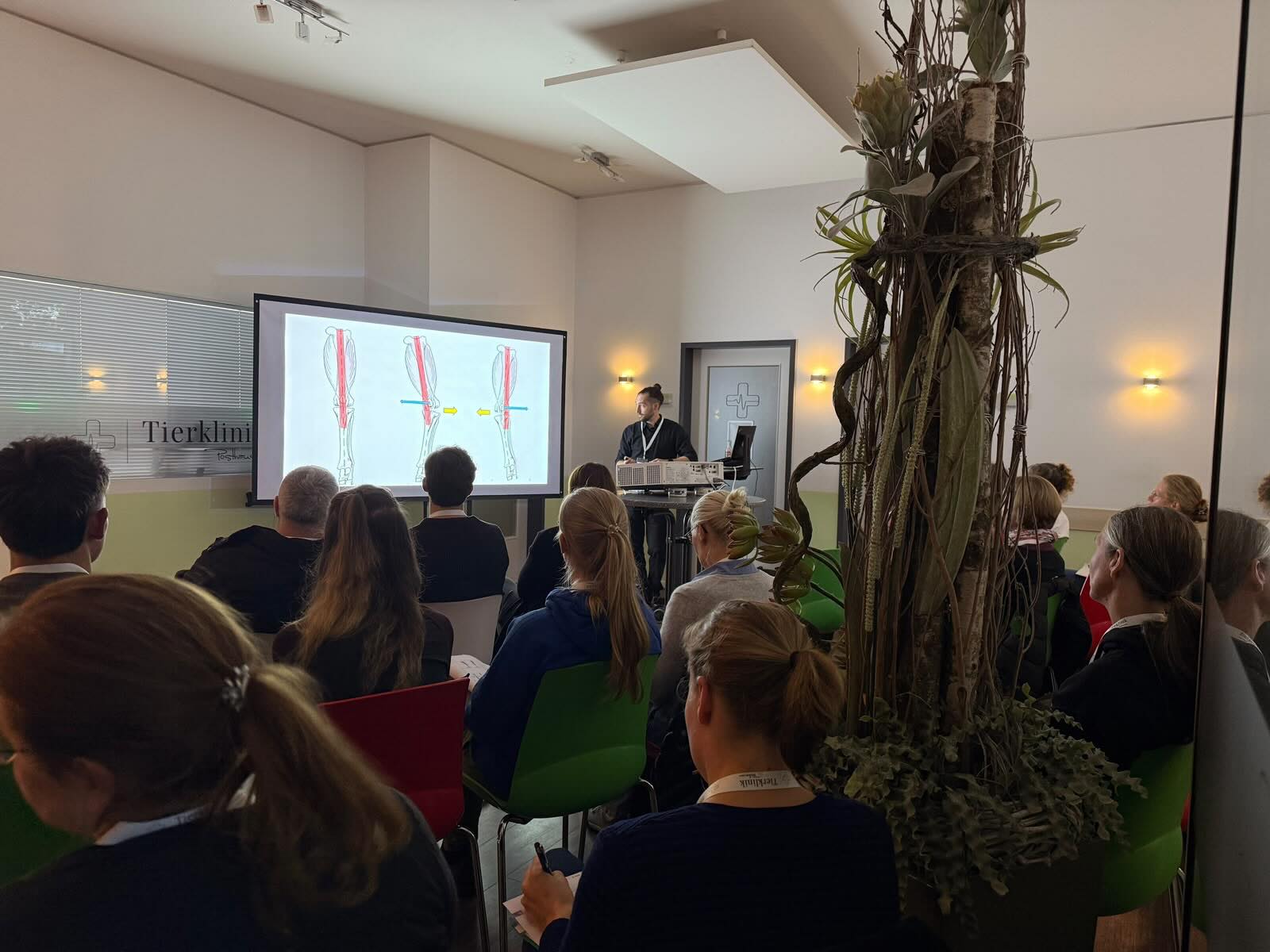 Mehrere Personen sitzen in der Tierklinik Posthausen bei einer Präsentation über Beinanatomie von Tieren.